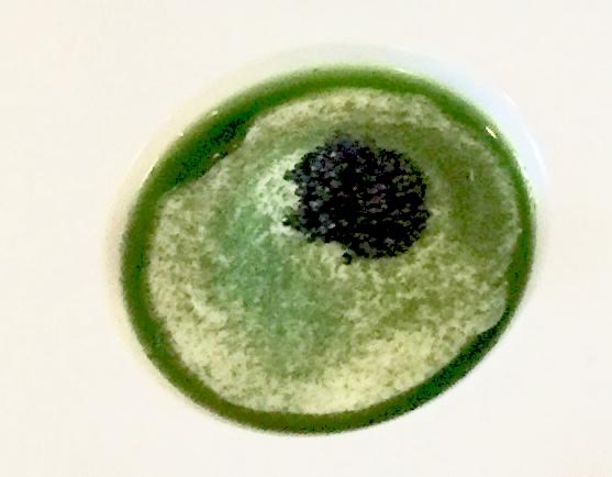 175e2cda 1646 49fc a499 06f7e5cca8ac OEUF POCHÉ AU CAVIAR RESTAURANT CO PARIS 18