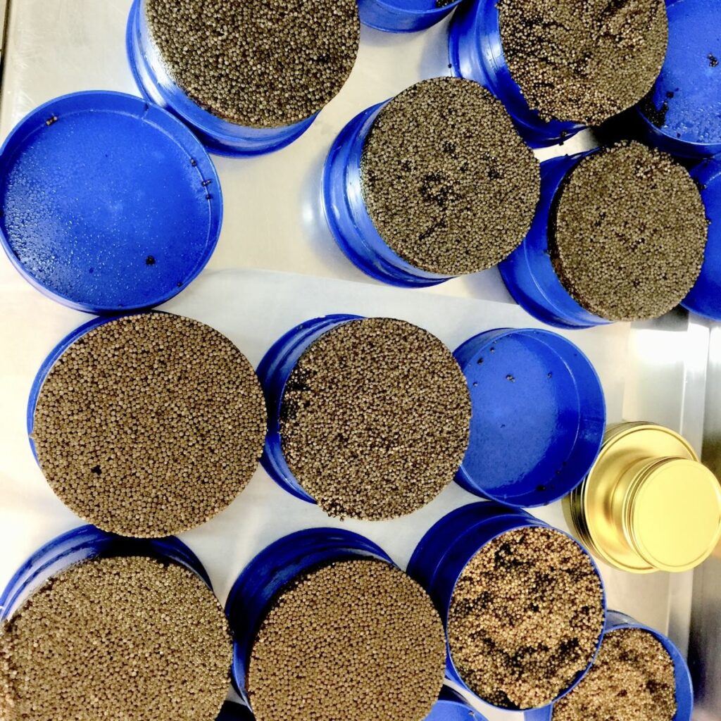 b23b5f33 8050 49c1 bf7c b670dcb5dd97 b23b5f33 8050 49c1 bf7c b670dcb5dd97