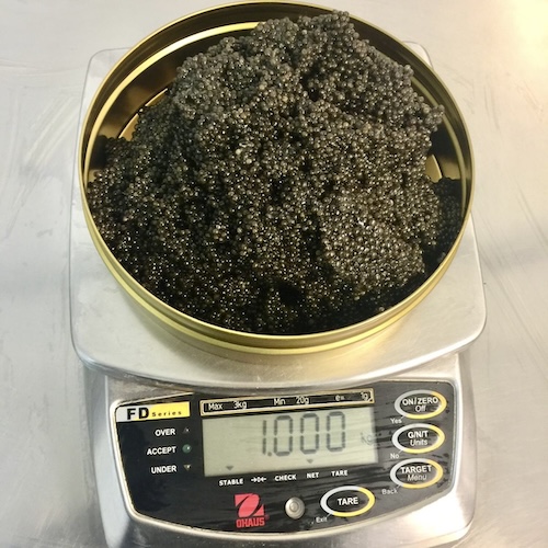 b57967ff 7630 49e3 85be 7d5fa89b34e3 caviar balance precise au gramme près