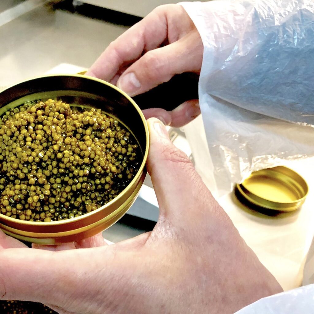 bd46d20c 1423 4754 93c6 a08844d3bf72 caviar reconditionnement marque blanche